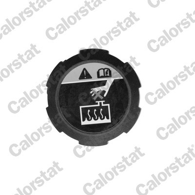 CALORSTAT by Vernet RC0200 EAN: 3531650042753.