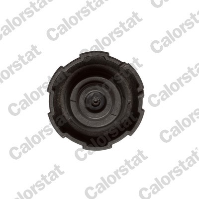 CALORSTAT by Vernet RC0200 EAN: 3531650042753.