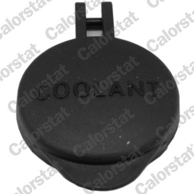CALORSTAT by Vernet RC0201 EAN: 3531650042760.