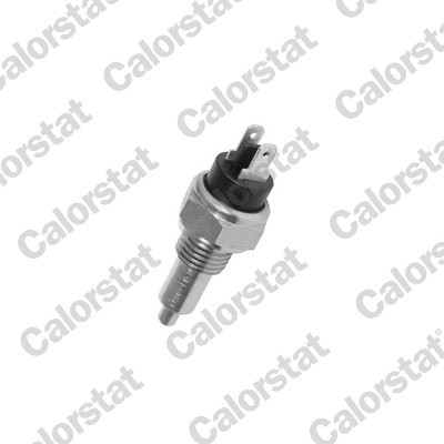 CALORSTAT by Vernet RS5503 EAN: 3531650014644.