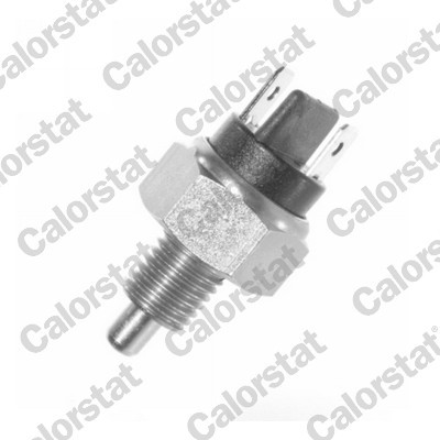 CALORSTAT by Vernet RS5516 EAN: 3531650014774.