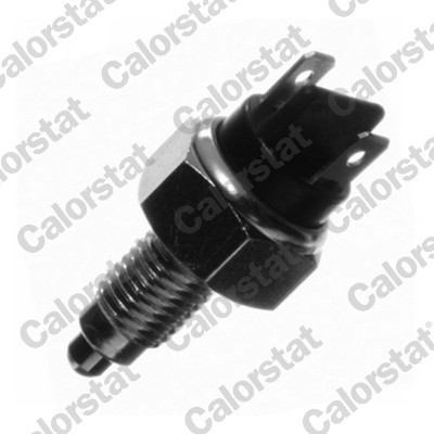 CALORSTAT by Vernet RS5520 EAN: 3531650014811.