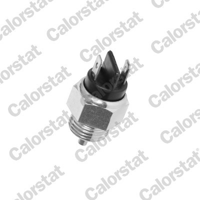 CALORSTAT by Vernet RS5521 EAN: 3531650014828.