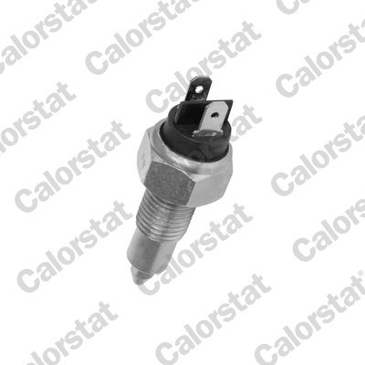 CALORSTAT by Vernet RS5525 EAN: 3531650014866.