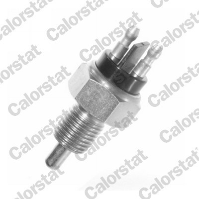 CALORSTAT by Vernet RS5533 EAN: 3531650014941.