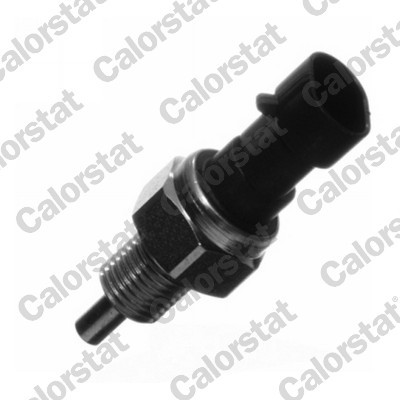 CALORSTAT by Vernet RS5539 EAN: 3531650015009.