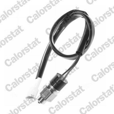 CALORSTAT by Vernet RS5556 EAN: 3531650015146.