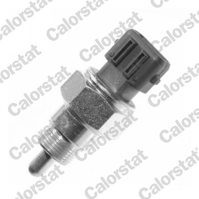 CALORSTAT by Vernet RS5564 EAN: 3531650015221.