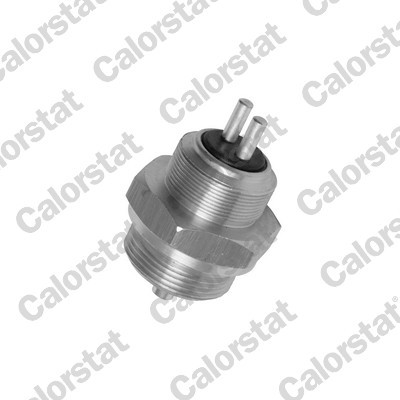 CALORSTAT by Vernet RS5569 EAN: 3531650033973.