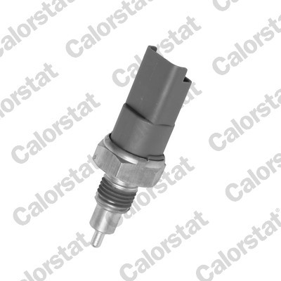 CALORSTAT by Vernet RS5584 EAN: 3531650019977.