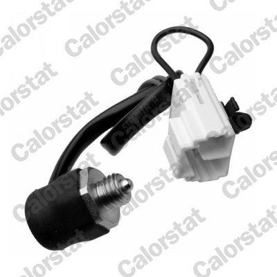 CALORSTAT by Vernet RS5596 EAN: 3531650033027.