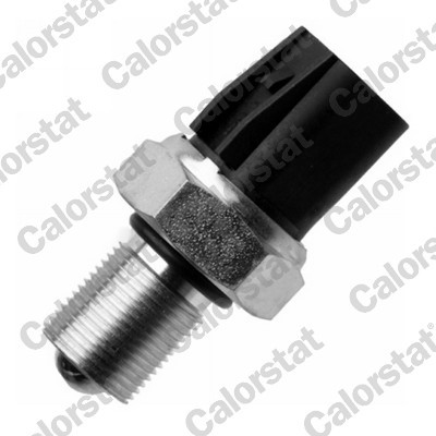 CALORSTAT by Vernet RS5624 EAN: 3531650033218.