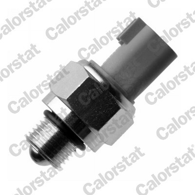 CALORSTAT by Vernet RS5628 EAN: 3531650033249.