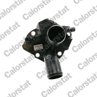 CALORSTAT by Vernet TE2122P.103J EAN: 3531650050970.