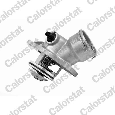 CALORSTAT by Vernet TE7091.100J EAN: 3531650036219.