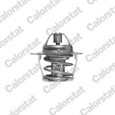 CALORSTAT by Vernet TH1248.80J EAN: 3531650000173.