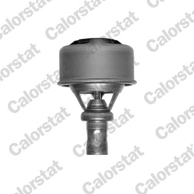 CALORSTAT by Vernet TH4495.83 EAN: 3531650004010.