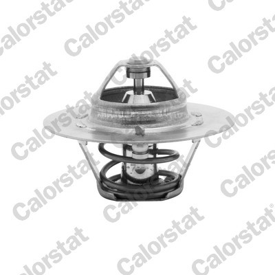 CALORSTAT by Vernet TH4608.88J EAN: 3531650004171.