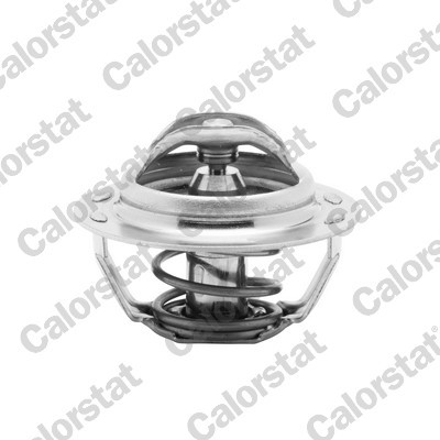 CALORSTAT by Vernet TH4885.83J EAN: 3531650004386.