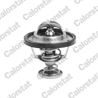 CALORSTAT by Vernet TH6295.71J EAN: 3531650030835.
