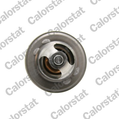 CALORSTAT by Vernet TH6471.79J EAN: 3531650052455.