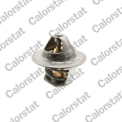CALORSTAT by Vernet TH6471.79J EAN: 3531650052455.