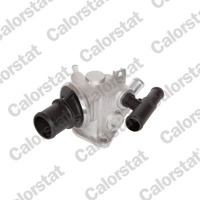 CALORSTAT by Vernet TH6509.88J EAN: 3531650008476.
