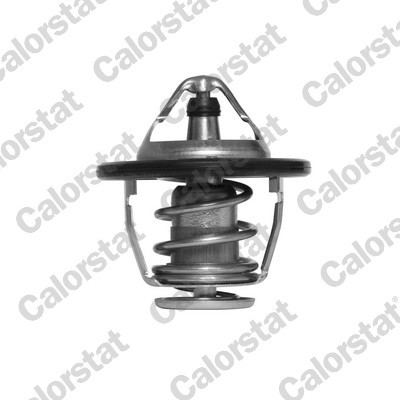 CALORSTAT by Vernet TH6520.88J EAN: 3531650043330.