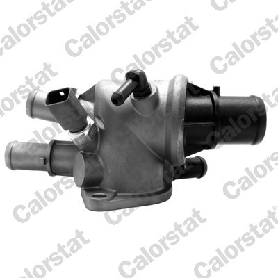CALORSTAT by Vernet TH6551.88J EAN: 3531650008902.