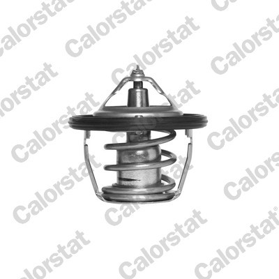 CALORSTAT by Vernet TH6736.91J