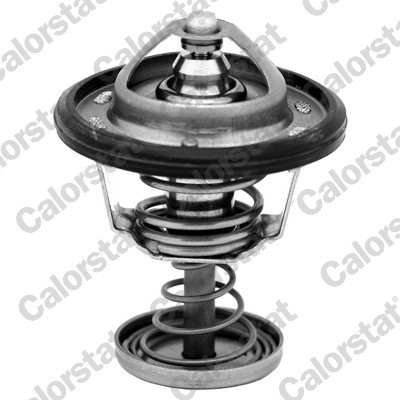 CALORSTAT by Vernet TH6950.82J EAN: 3531650019755.