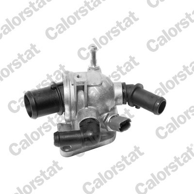 CALORSTAT by Vernet TH6981.88J EAN: 3531650010264.