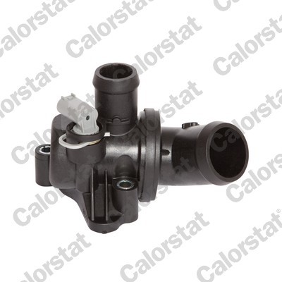 CALORSTAT by Vernet TH6991.87J EAN: 3531650010295.