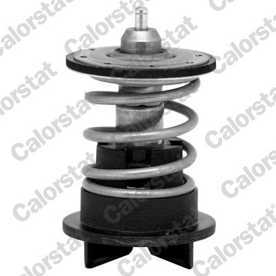 CALORSTAT by Vernet TH7272.89 EAN: 3531650041619.