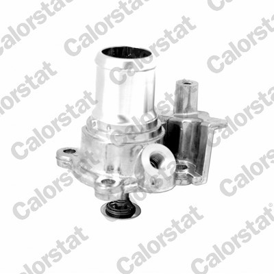 CALORSTAT by Vernet TH7303.82J EAN: 3531650049875.