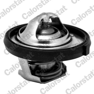 CALORSTAT by Vernet TH7311.95J EAN: 3531650043040.