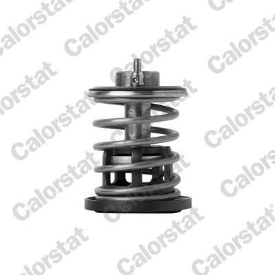 CALORSTAT by Vernet TH7382.88 EAN: 3531650049899.