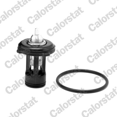 CALORSTAT by Vernet THK7271.87J EAN: 3531650046287.