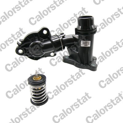 CALORSTAT by Vernet THK7504.85J EAN: 3531650052523.