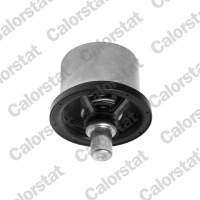 CALORSTAT by Vernet THS16957.82 EAN: 3531650045419.