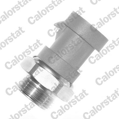 CALORSTAT by Vernet TS1090 EAN: 3531650010714.