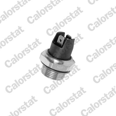 CALORSTAT by Vernet TS6994 EAN: 3531650015252.