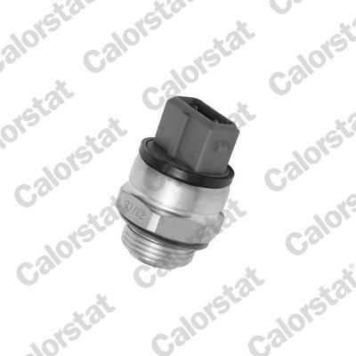 CALORSTAT by Vernet TS1628 EAN: 3531650010899.
