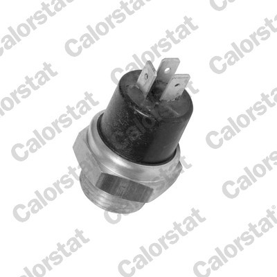 CALORSTAT by Vernet TS1888 EAN: 3531650011087.