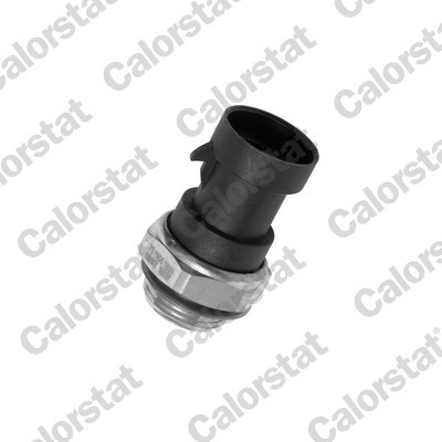 CALORSTAT by Vernet TS1955 EAN: 3531650011186.