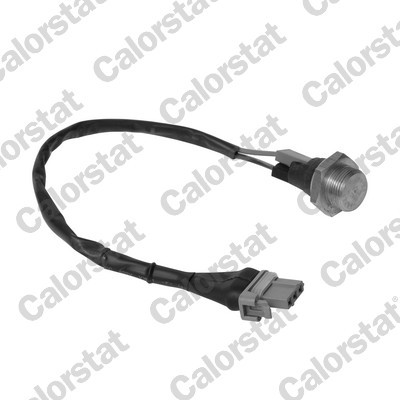 CALORSTAT by Vernet TS1958 EAN: 3531650011216.