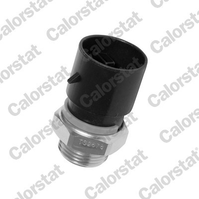 CALORSTAT by Vernet TS2678 EAN: 3531650012619.