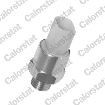 CALORSTAT by Vernet TS2704 EAN: 3531650012732.