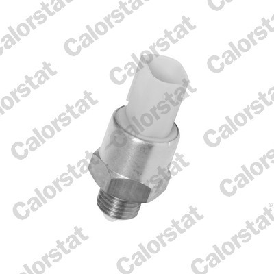 CALORSTAT by Vernet TS2705 EAN: 3531650021581.