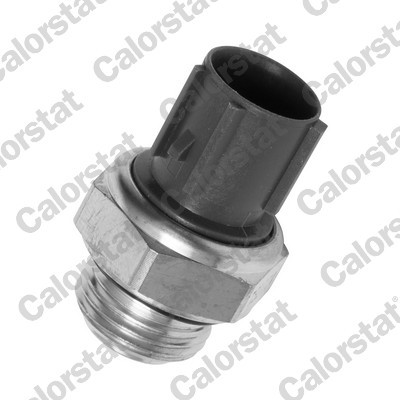 CALORSTAT by Vernet TS2774 EAN: 3531650012824.
